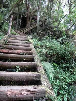 20110416加里山_025.JPG