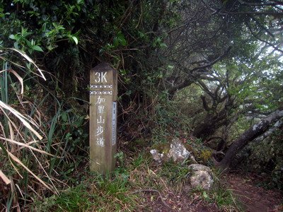 20110416加里山_102.JPG