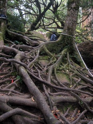 20110416加里山_083.JPG