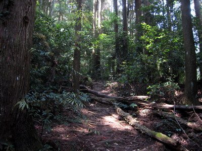 20110416加里山_038.JPG