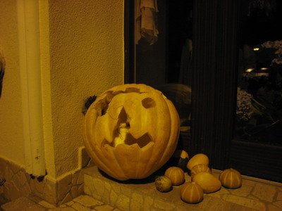 20101009 DAY04_078.JPG