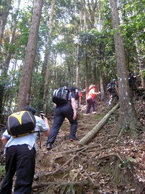 20110416加里山_034.JPG