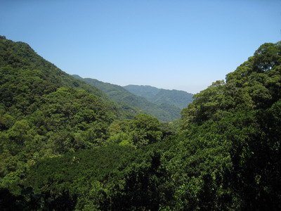 20110529雲森瀑布_046.JPG