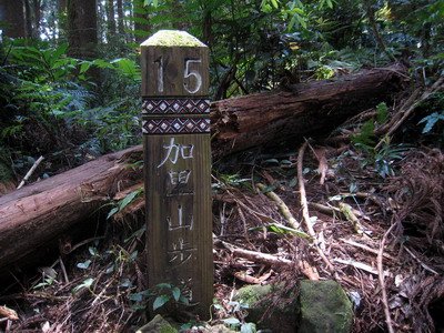 20110416加里山_056.JPG