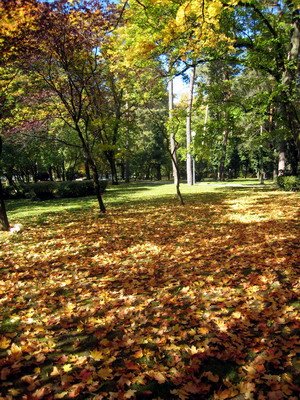 20101009 DAY04_041.JPG