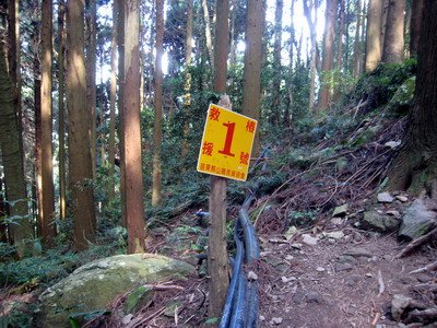 20110416加里山_008.JPG