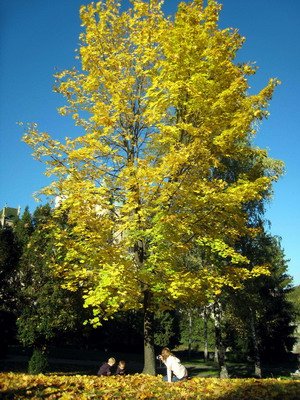 20101009 DAY04_065.JPG