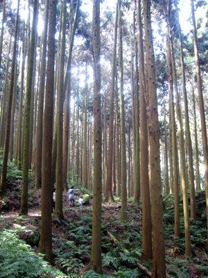 20110416加里山_011.JPG