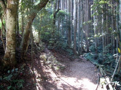 20110416加里山_003.JPG