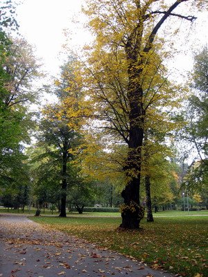 20101009 DAY04_007.jpg