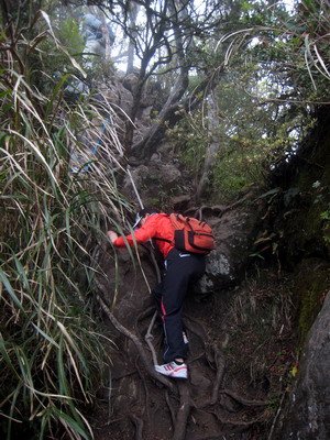 20110416加里山_104.JPG