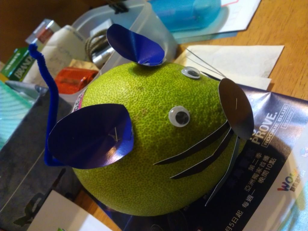 IMAG0627.jpg