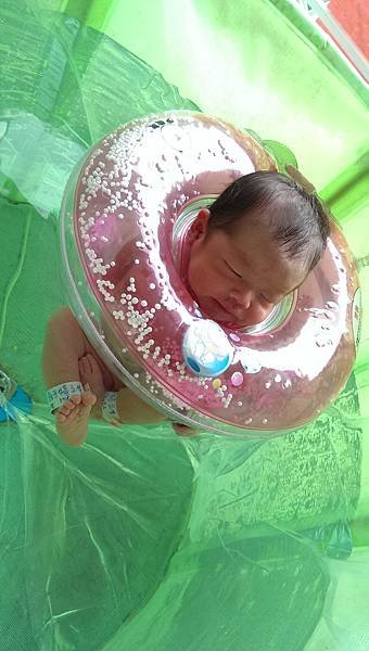 IMAG0286.jpg