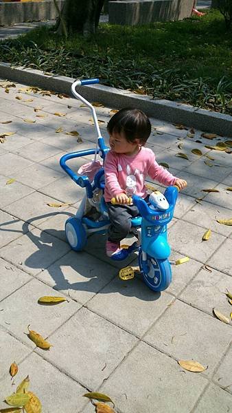 5583.jpg