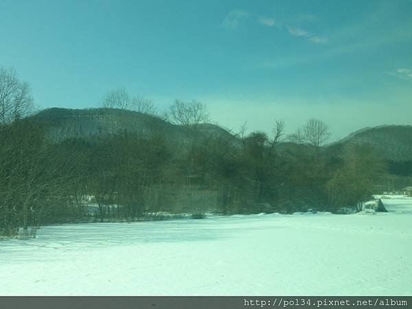 DSC_0295 (2)