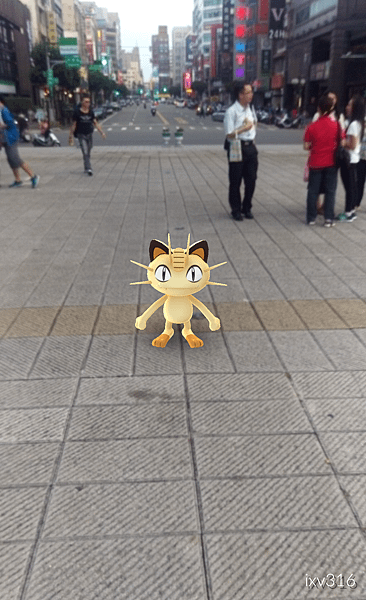 IMG_2016-08-15-18025778.png