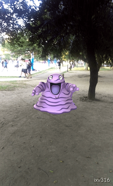 IMG_2016-08-24-17410565.png