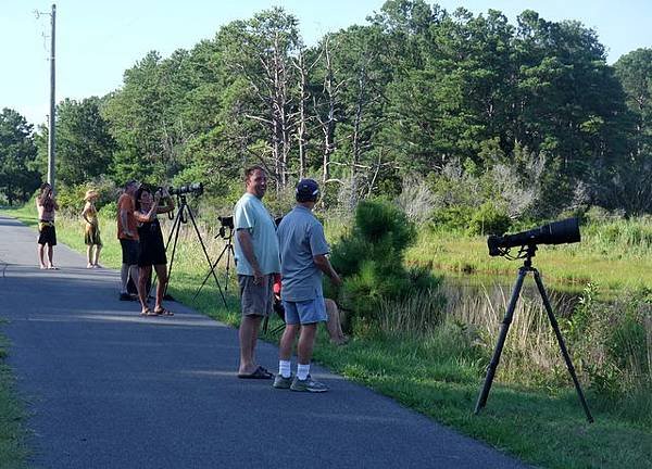 0717 Assateague Island (9).JPG
