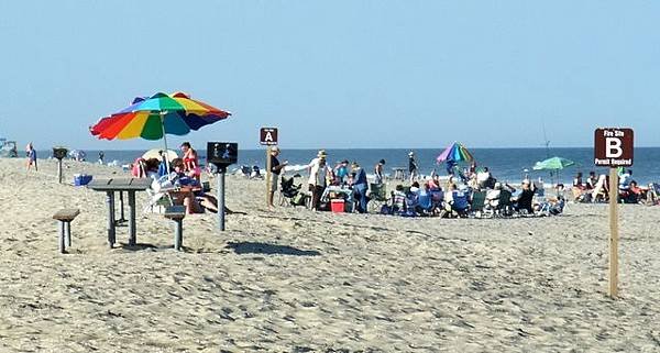 0717 Assateague Island National Seashore (2).JPG