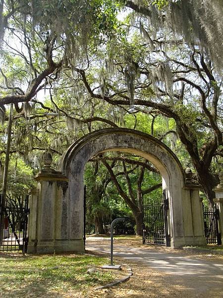 0419 Wormsloe Plantation (88)