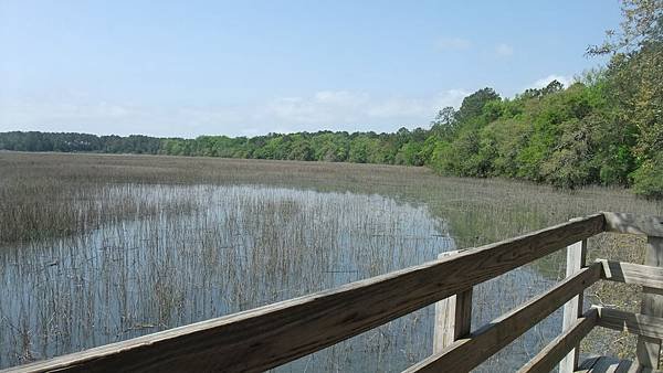 0419 Wormsloe Plantation (29)
