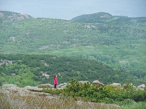 0606 Cadillac Mountain (41)