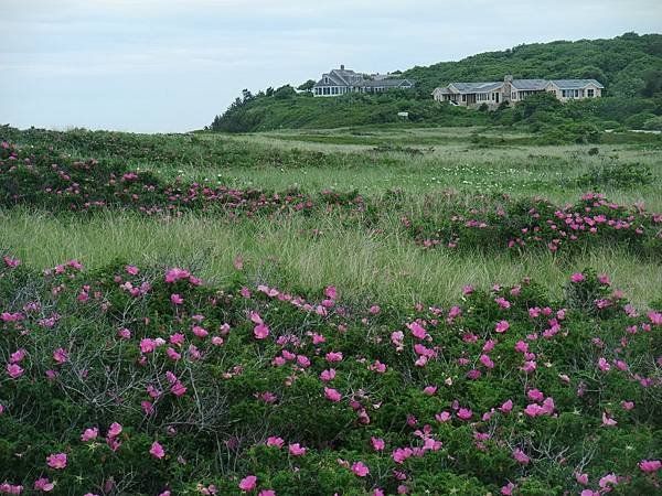 0609 Menemsha (52)