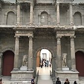 IMG_7518.JPG