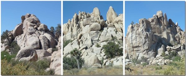 joshuatreenp.jpg