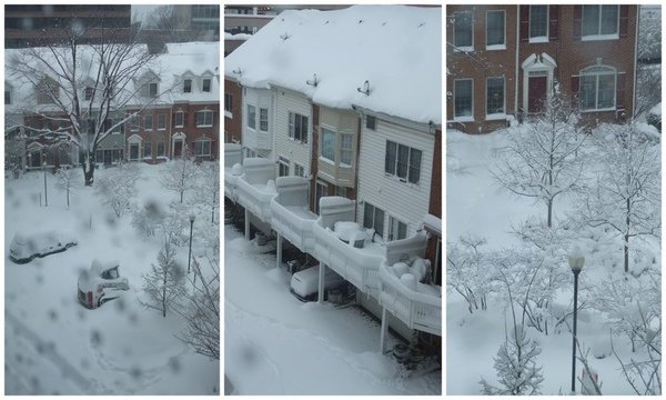 Feb10.jpg