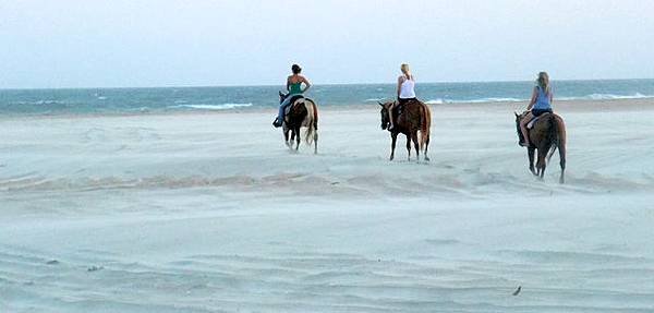 0724 Cape Hatteras National Seashore (86).JPG