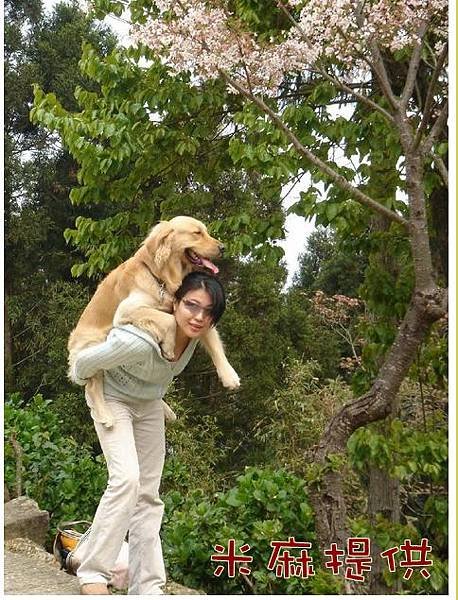 米1cats.jpg