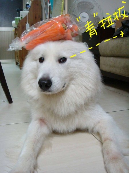 r_DSC05083.jpg