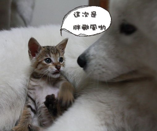 未命名-2.jpg