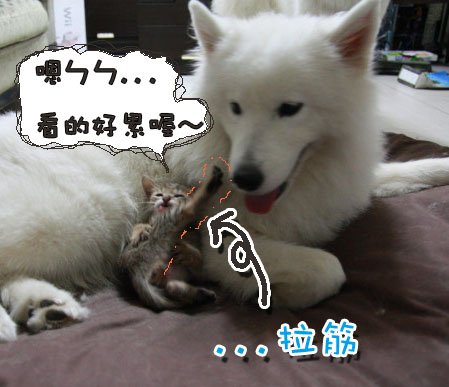 未命名-4.jpg