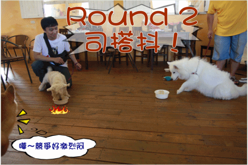 蛋糕比賽2.gif