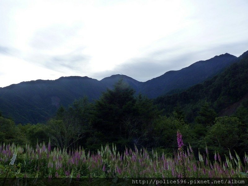 P1090747.jpg - 201206.08-11八大秀未竟