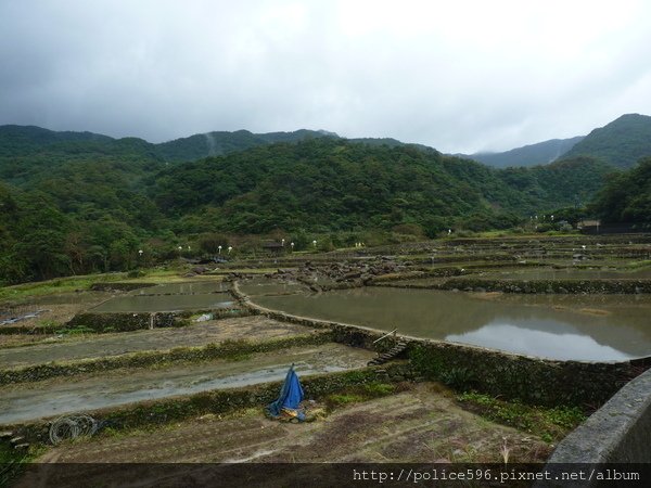 P1010803.JPG - 20101113草嶺古道