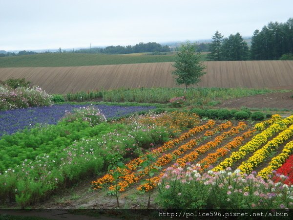 02751新榮之丘.JPG - 200709日本北海道