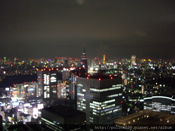 0239都聽夜景.JPG - 200611日本東京