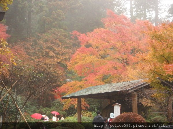 01636箱根神社.JPG - 200611日本東京