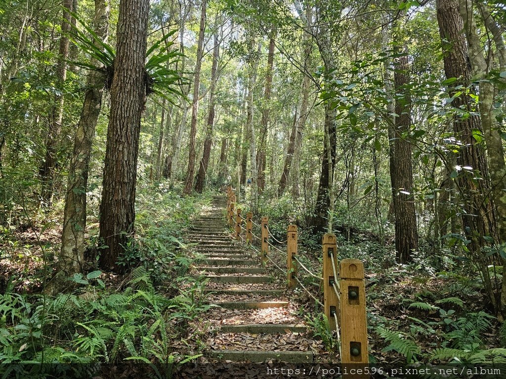 涼夏好去處Ⅶ~芝生毛台山連走虎禮山挑戰行