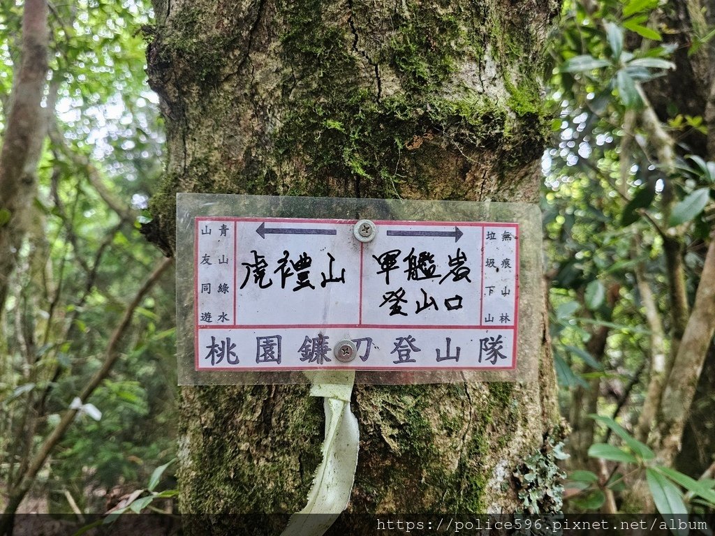 涼夏好去處Ⅶ~芝生毛台山連走虎禮山挑戰行