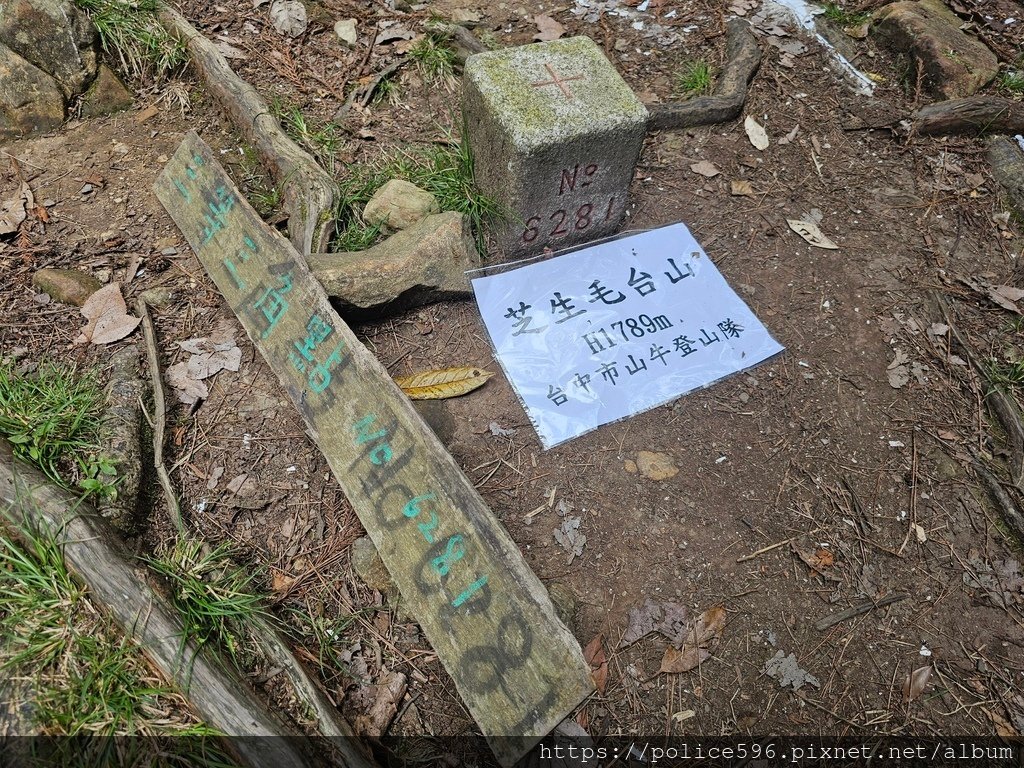 涼夏好去處Ⅶ~芝生毛台山連走虎禮山挑戰行