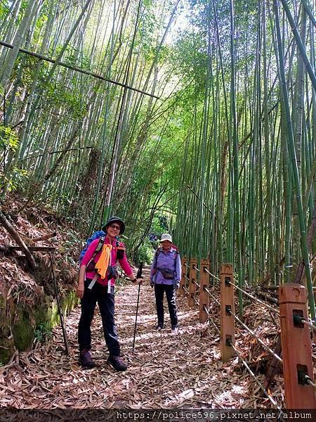 涼夏好去處Ⅶ~芝生毛台山連走虎禮山挑戰行