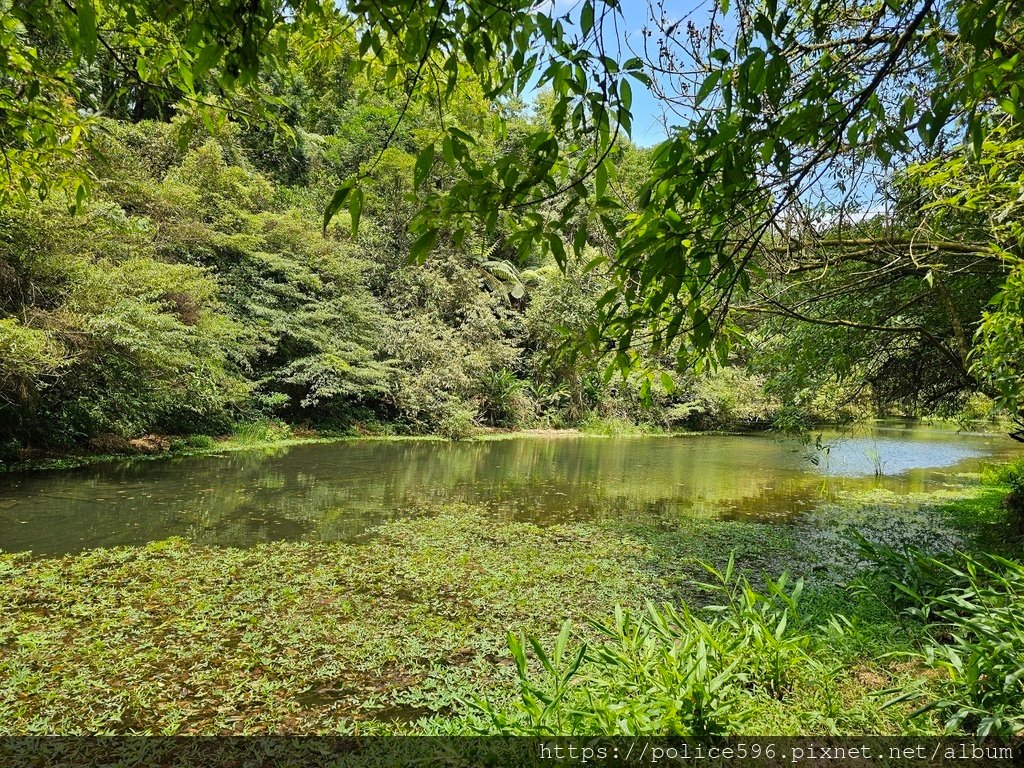 涼夏好去處Ⅷ~宜蘭冷埤及平多縱走