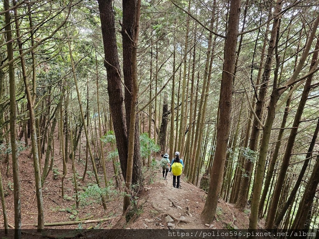 涼夏好去處Ⅷ~宜蘭冷埤及平多縱走