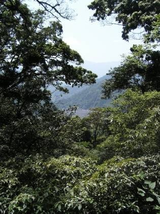 從山上看出去
