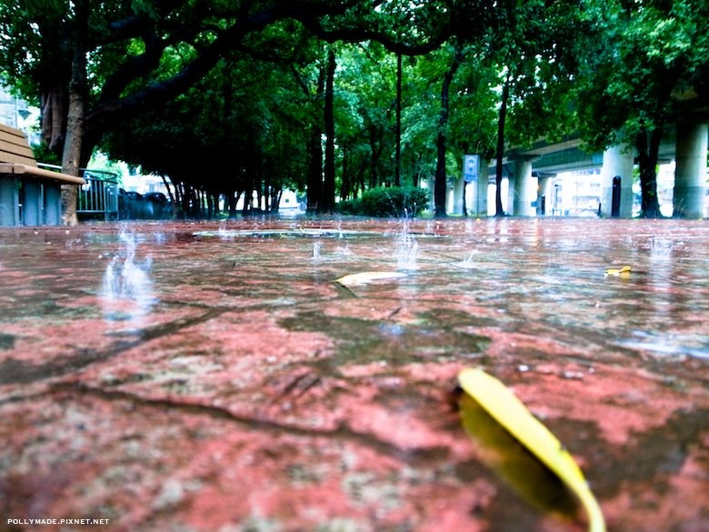 R0014851.jpg