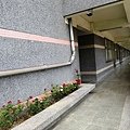 IMG_0013